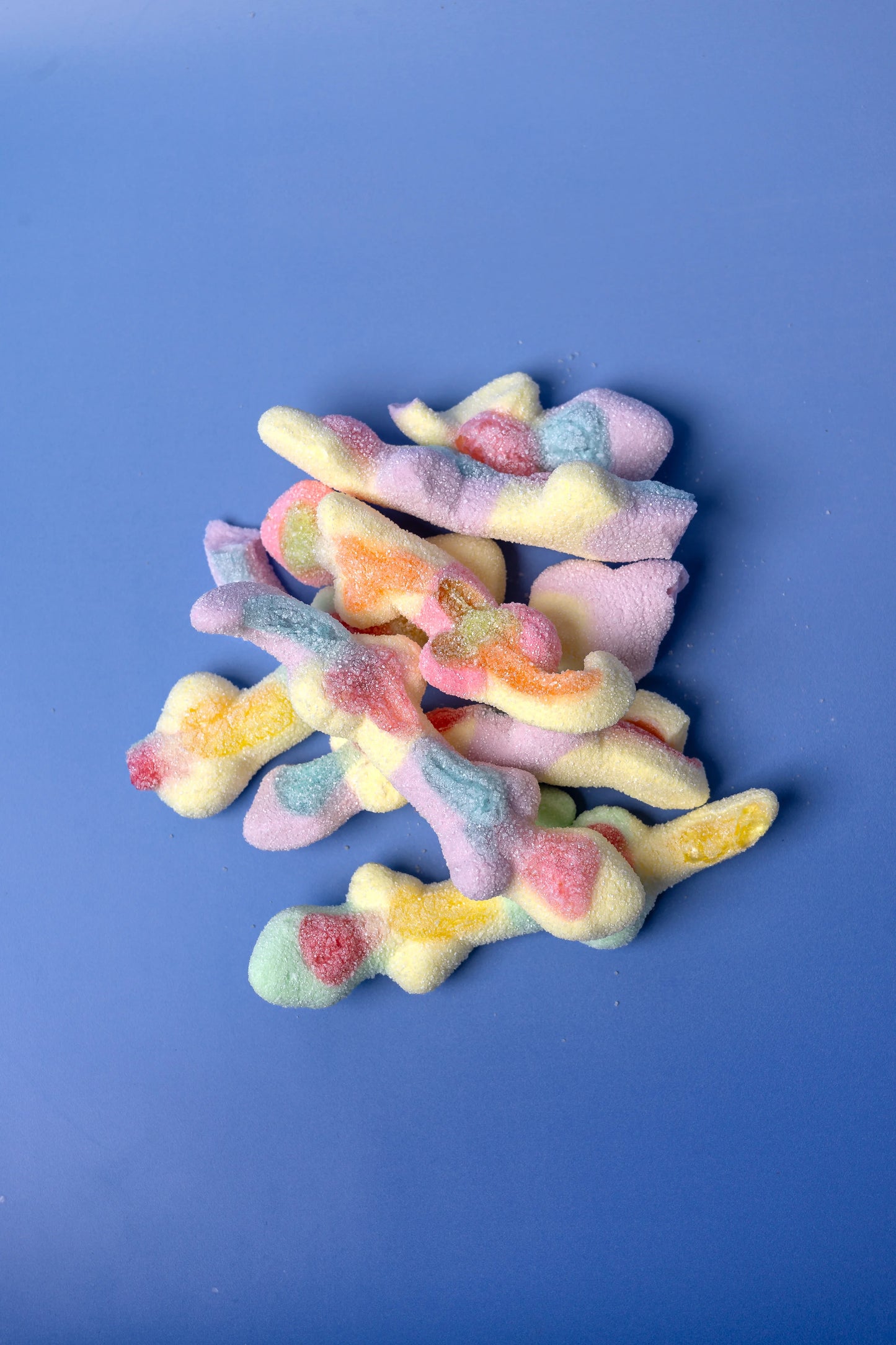 Sour Lizards